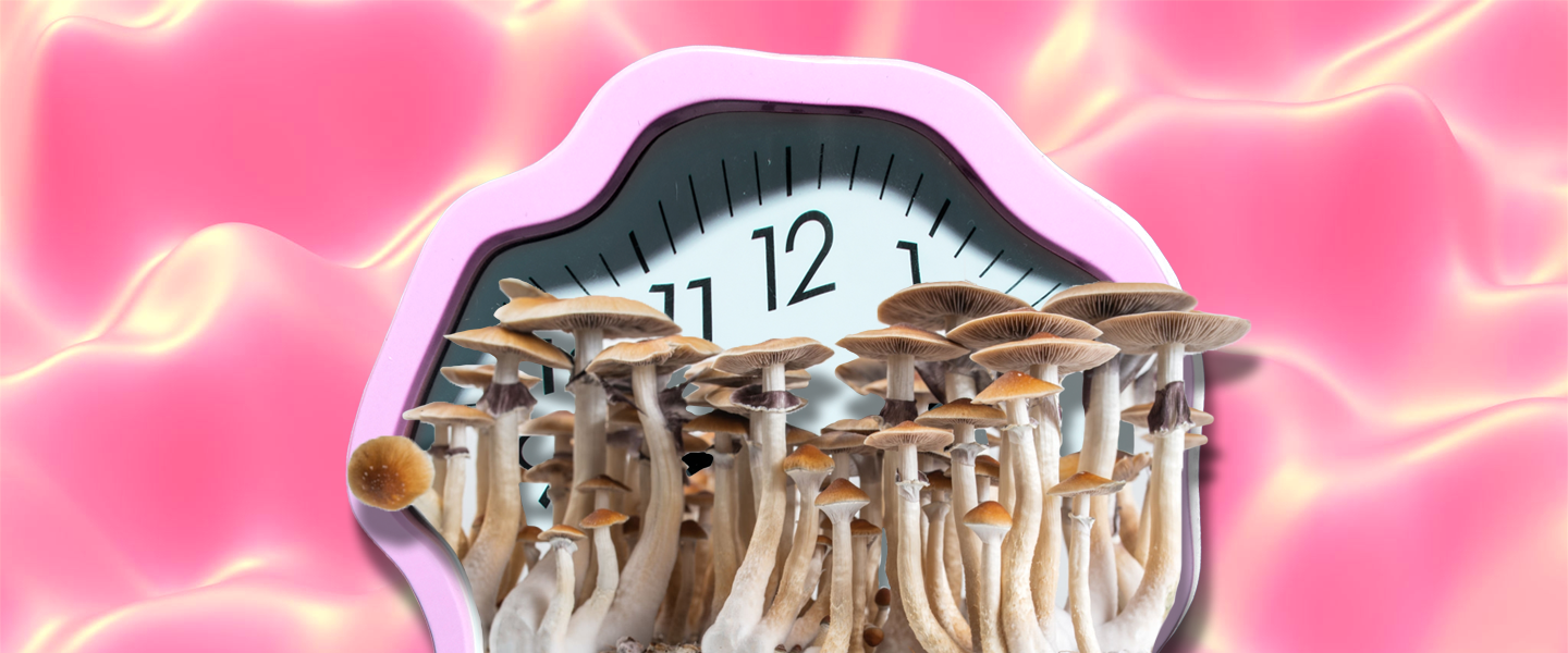 How Long Do Shrooms Last? How Long Do Shrooms Last?