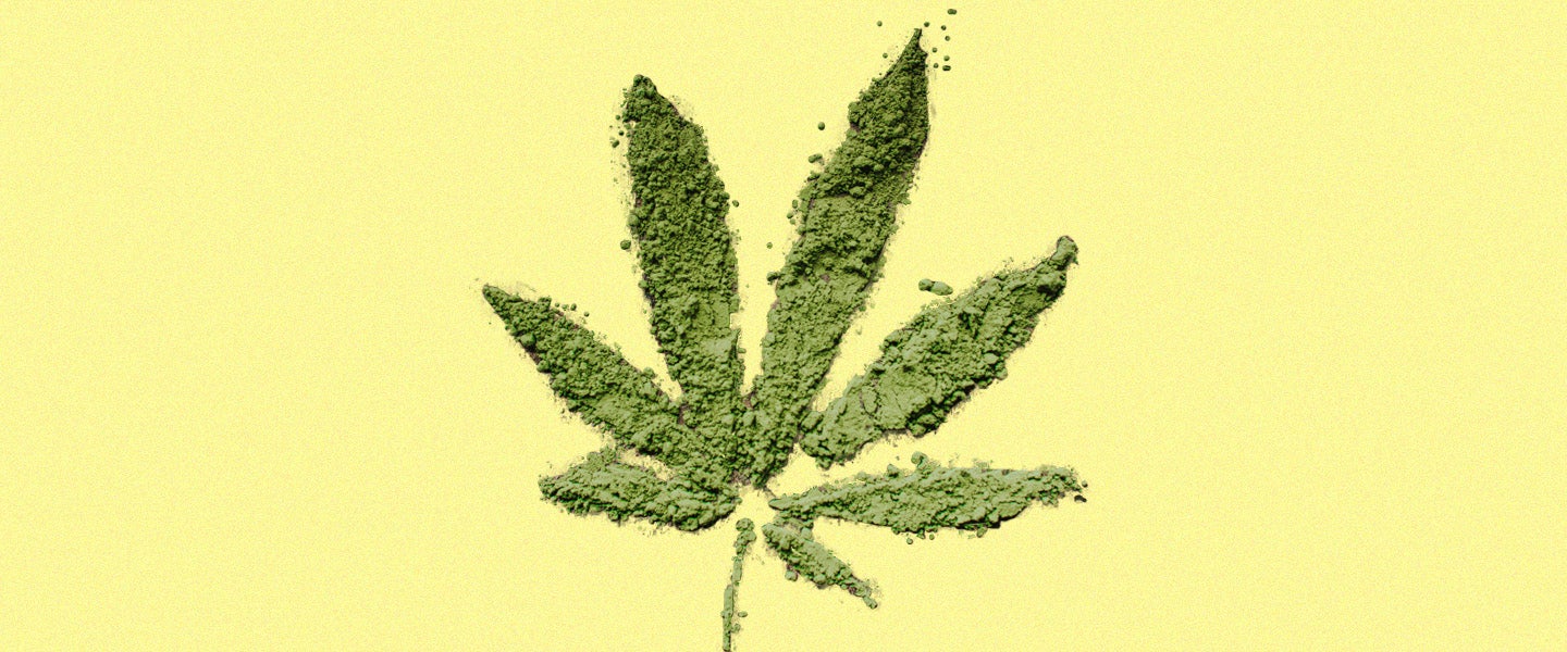 Hemp Protein vs Whey What’s the Point of Hemp Protein?