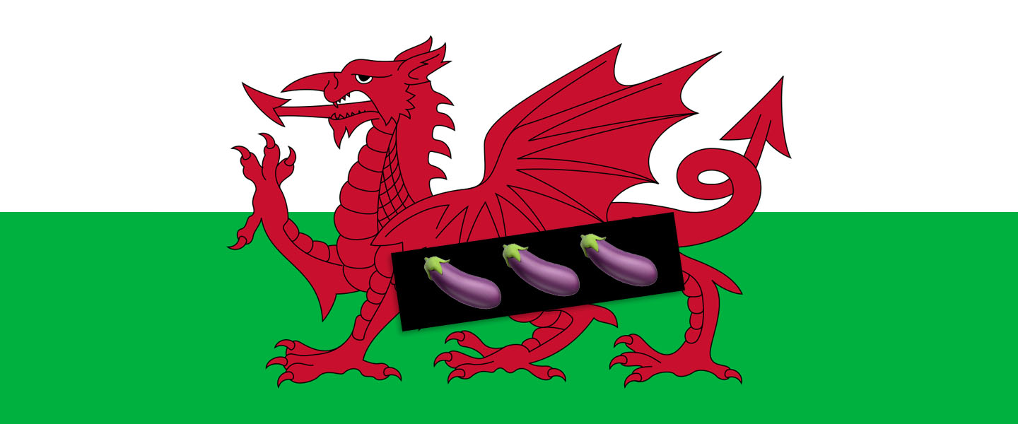 Gross Dragon Porn - The Fiery Campaign to Give the Dragon on the Welsh Flag a Penis