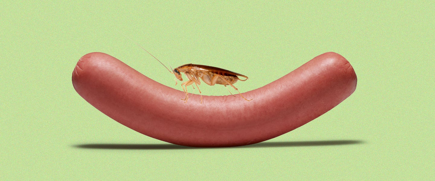 Can a cockroach crawl into your penis