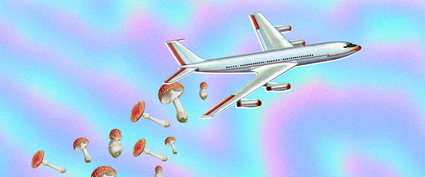 The Waking Nightmare of Tripping on a Plane