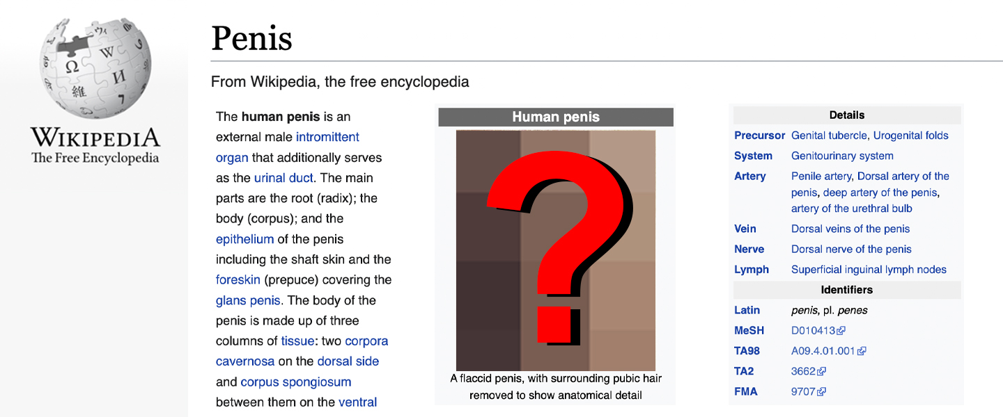 Whose Dick Is That On The Wikipedia Penis Page