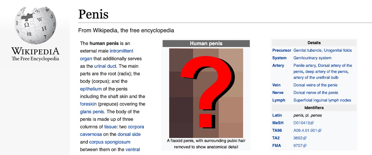 Whose Dick Is That on the Wikipedia 'Penis' Page?