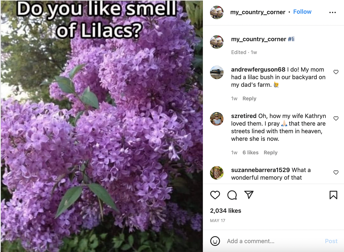 Instagram’s Country Living Meme Account Is a Vacation for Your Mind